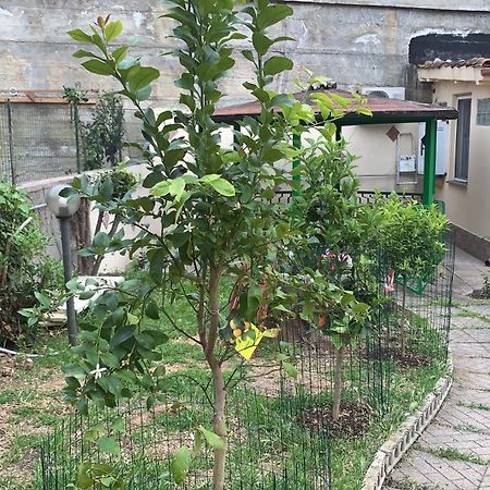 B&B Civitavecchia La Casetta Con Giardino Exterior photo