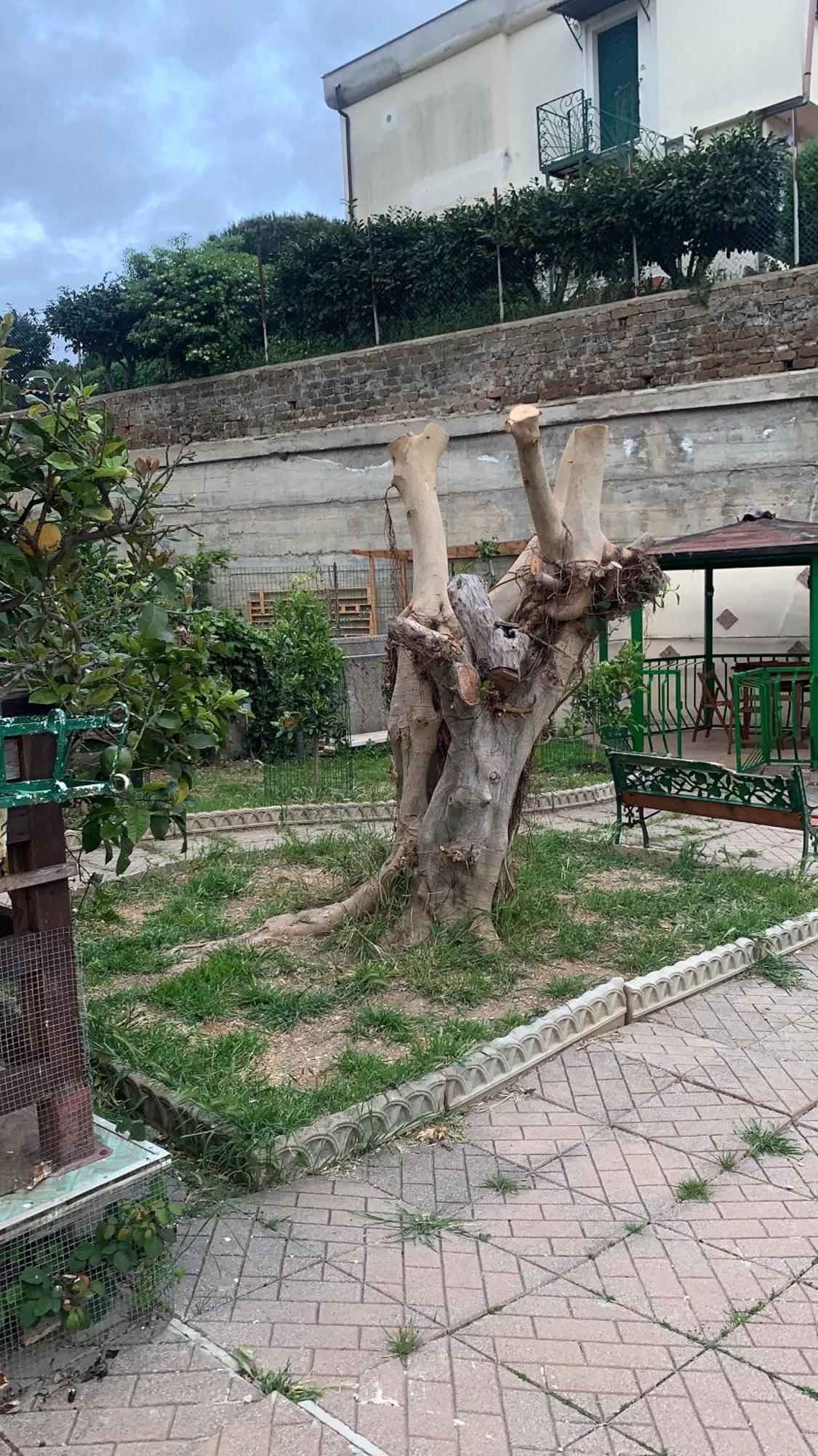 B&B Civitavecchia La Casetta Con Giardino Exterior photo
